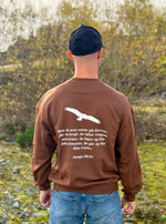 Last inn bildet i Galleri-visningsprogrammet, Som ørnen - Jesaja 40:31 oversized unisex genser
