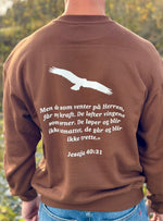 Last inn bildet i Galleri-visningsprogrammet, Som ørnen - Jesaja 40:31 oversized unisex genser
